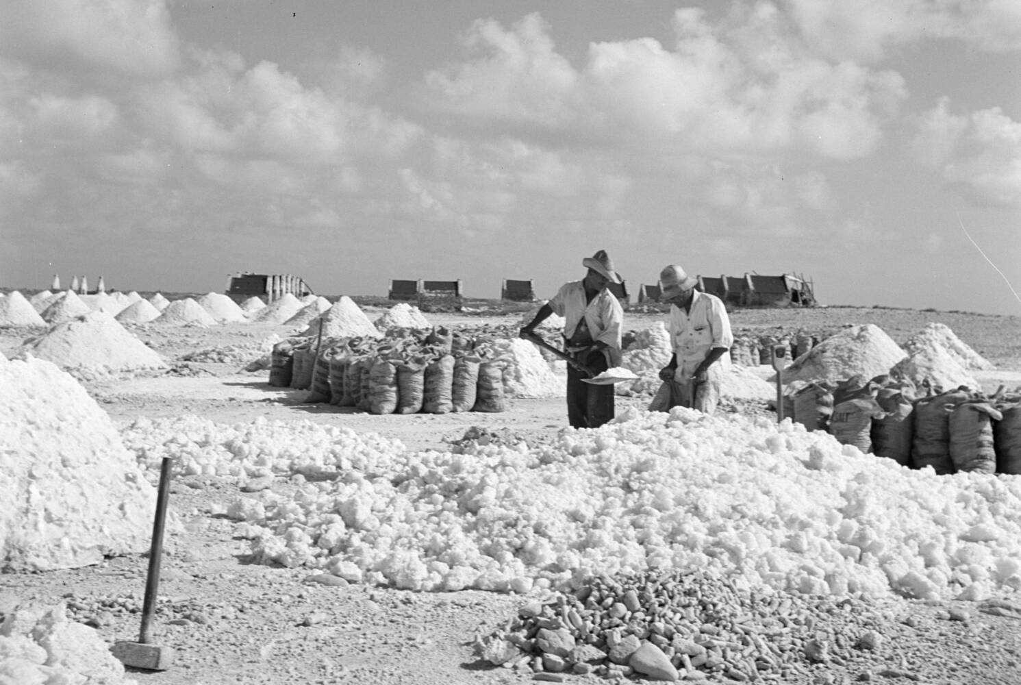 Historische foto van het dragen van zoutzakken