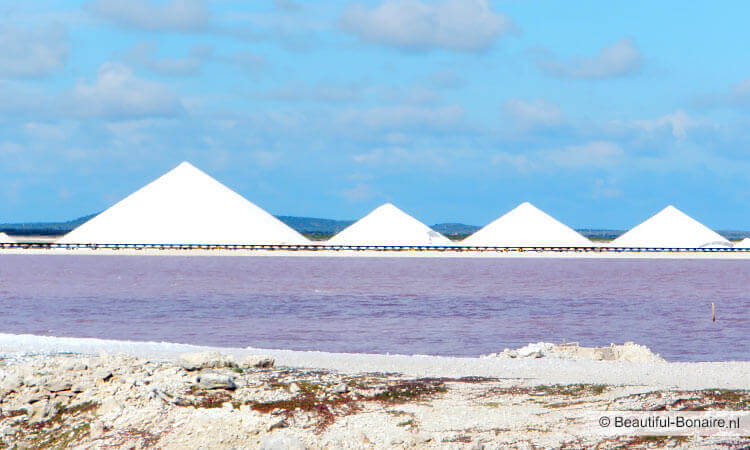 Witte zoutpannen op Bonaire
